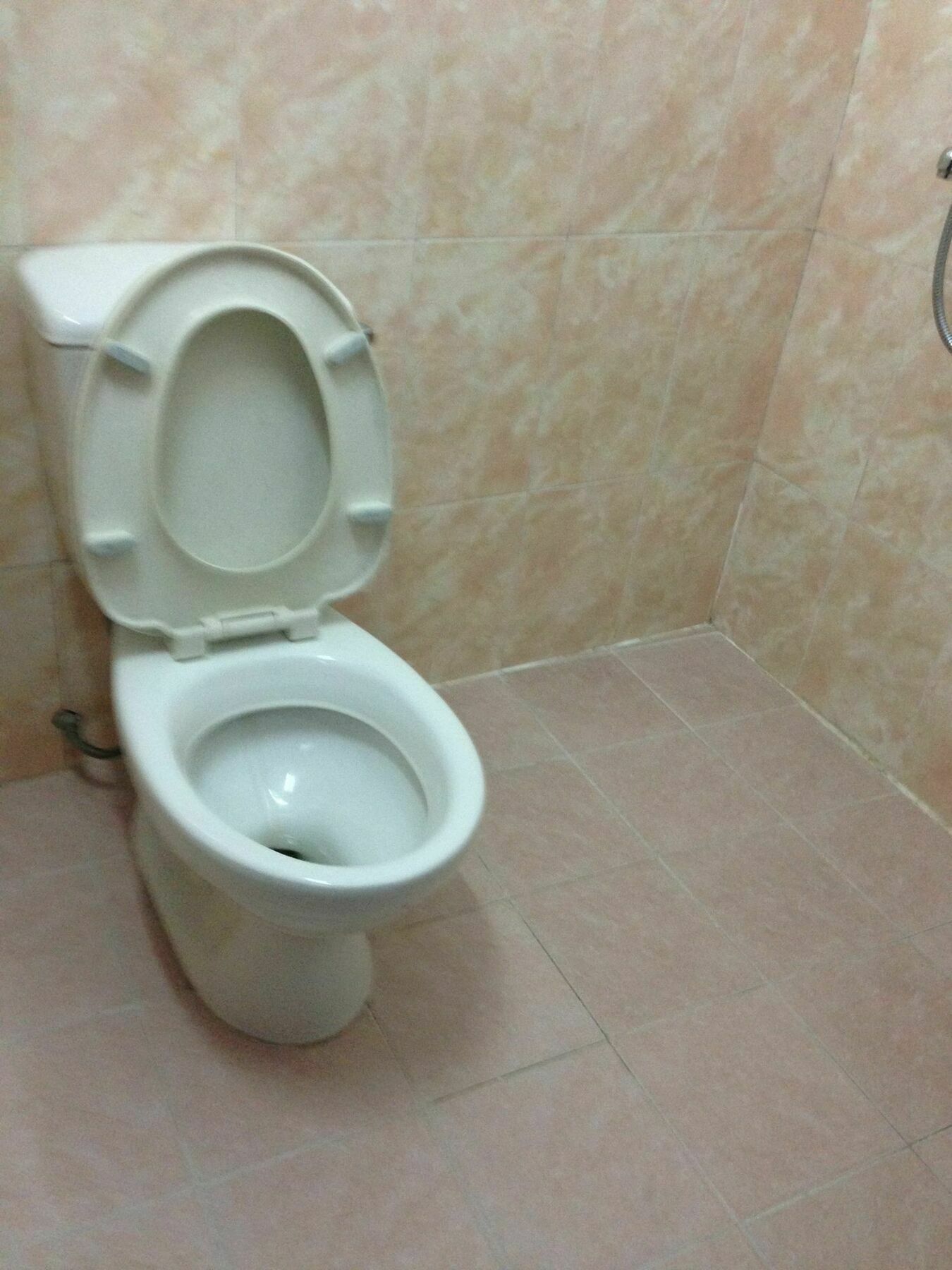 דה לאט Thien Phuc Guesthouse מראה חיצוני תמונה